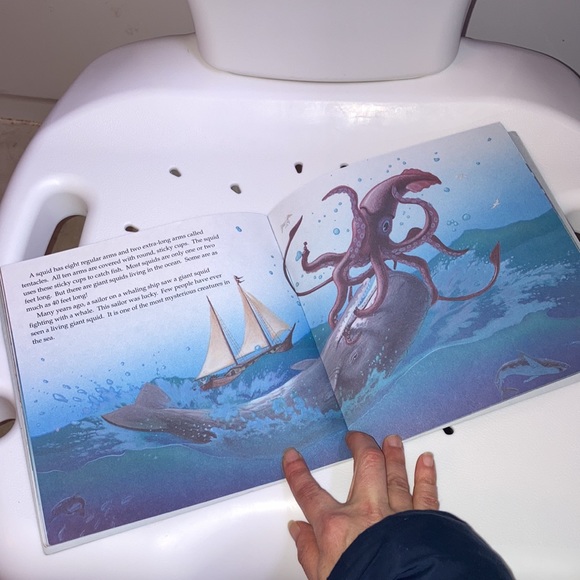 “Whales and Other Creatures of the Sea” kids book - Picture 8 of 16